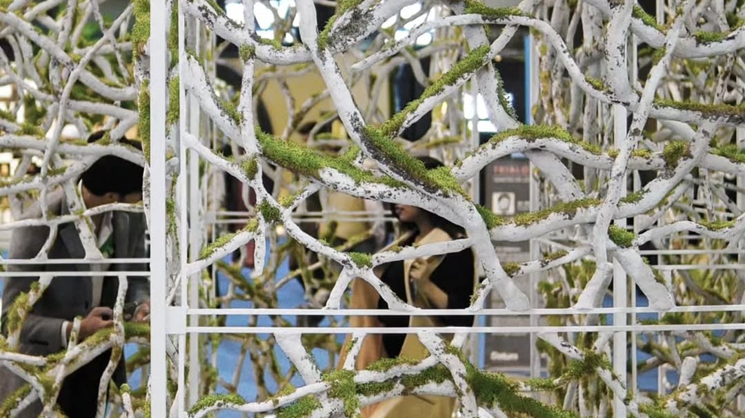 El proyecto Mórfosis reinventa el papel desechado, explorando cómo pueden reconfigurarse en una estructura “viva”. Foto: Raza Zahid.