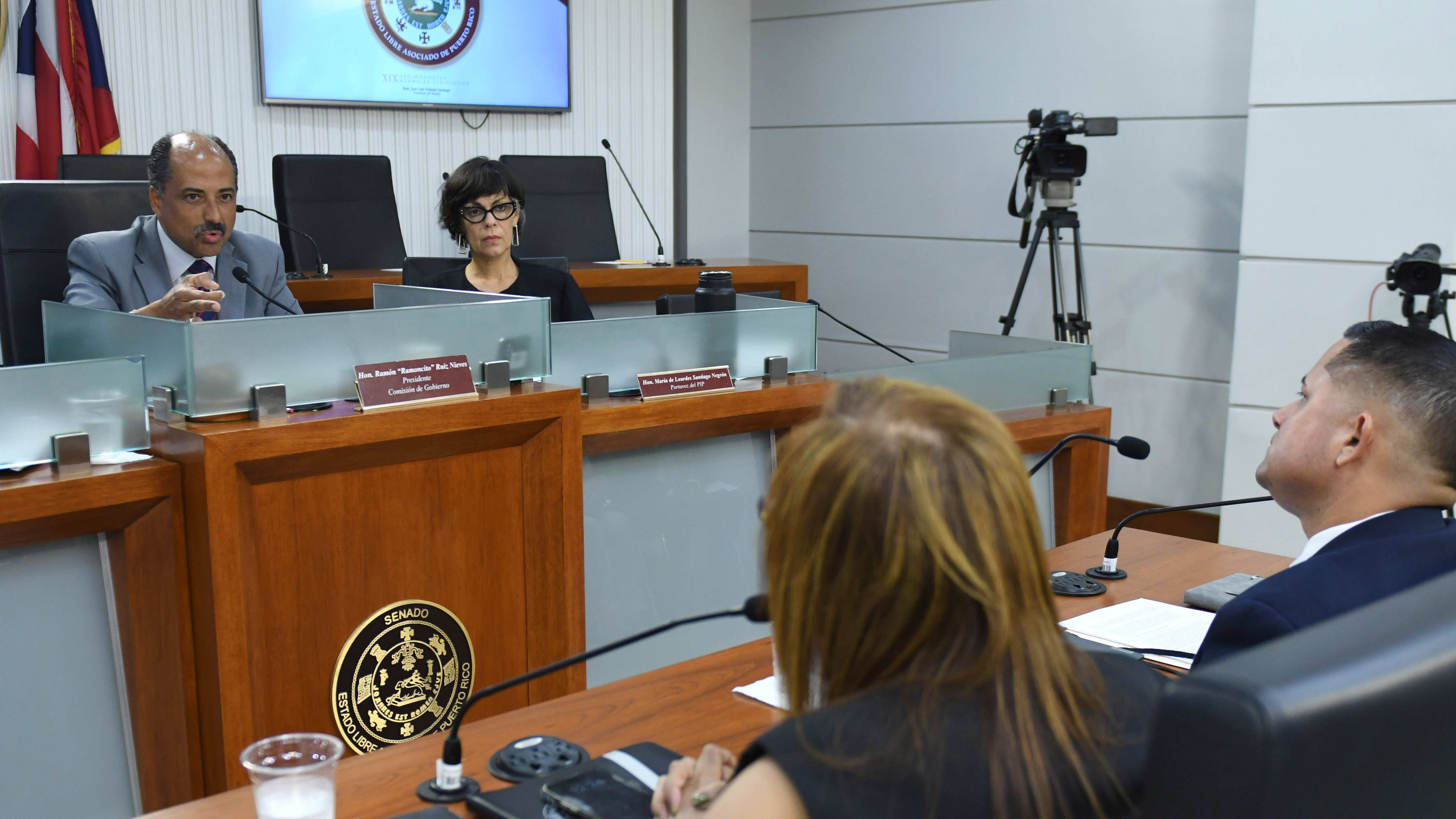 Comisión de Gobierno