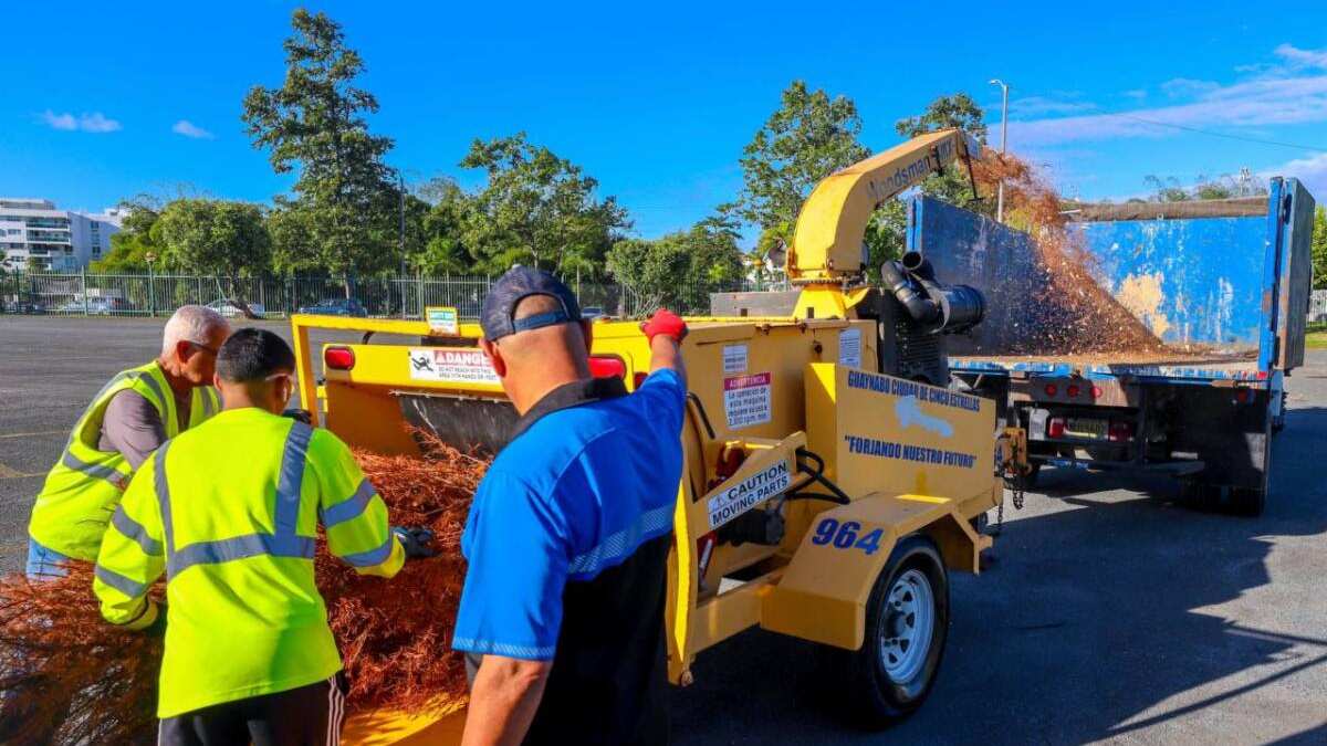 Guaynabo anuncia reciclaje de árboles de Navidad.