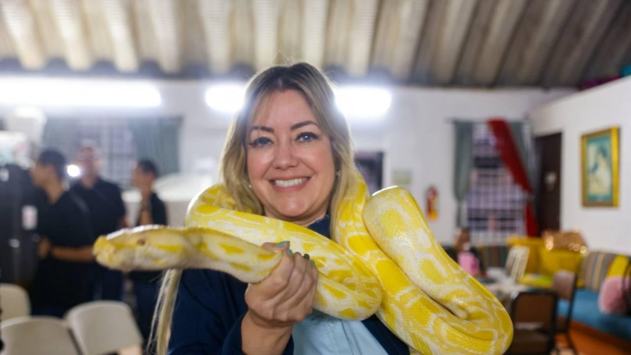 Agencias educan sobre el peligro de boas reticuladas y otras especies invasoras,
