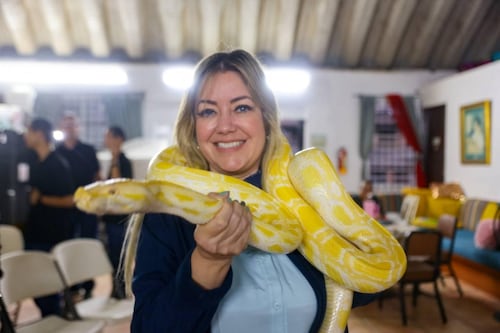 Educan a las comunidades sobre el peligro de boas reticuladas y otras especies invasoras