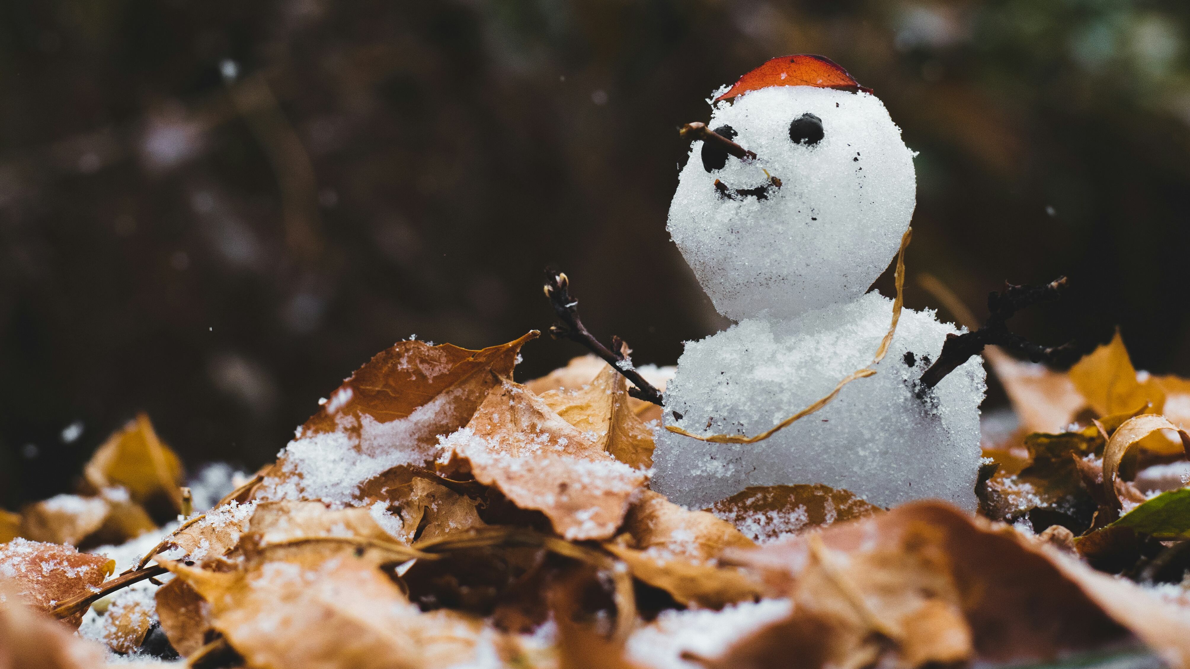 Según los expertos, la “Blanca Navidad” podría convertirse en un recuerdo lejano a medida que el calentamiento de las temperaturas provoque menos nevadas en distintas zonas.