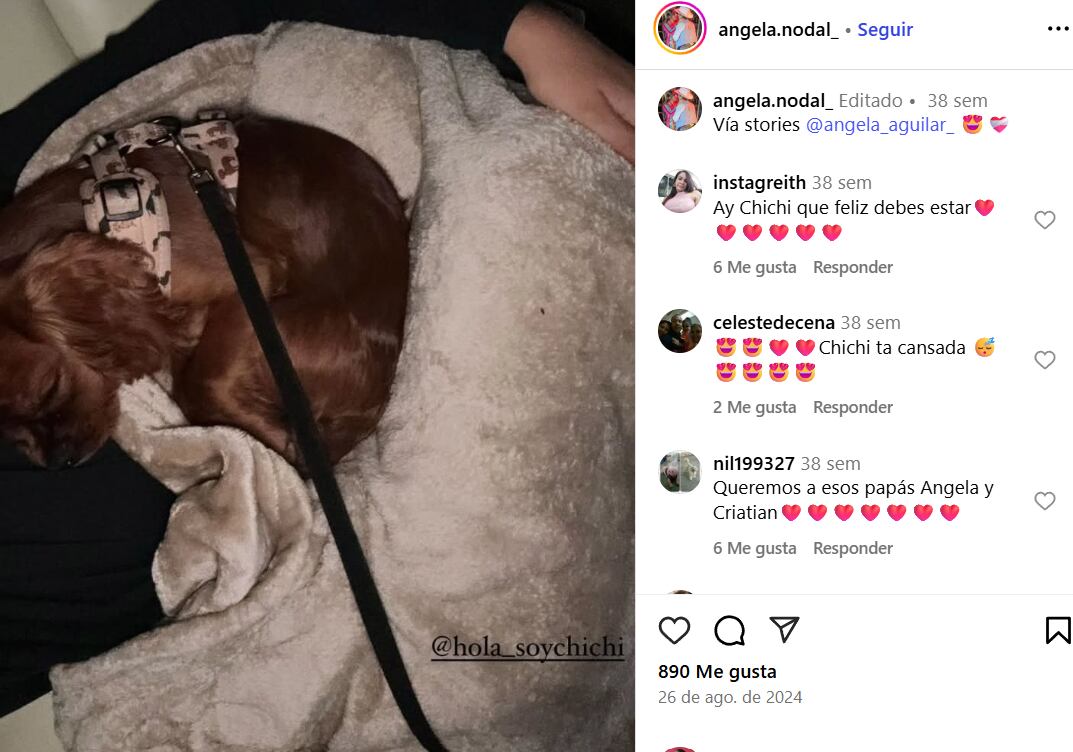Para Ángela Aguilar sus mascotas son prioridad