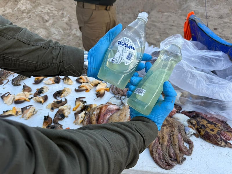 Pesca ilegal en Isla de Cabra.