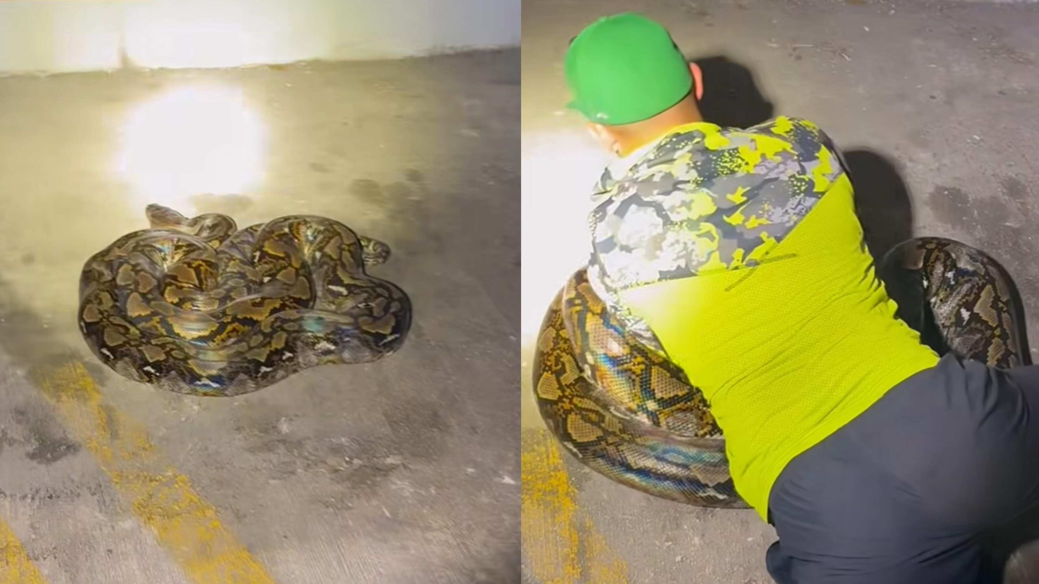 (captura de pantalla)