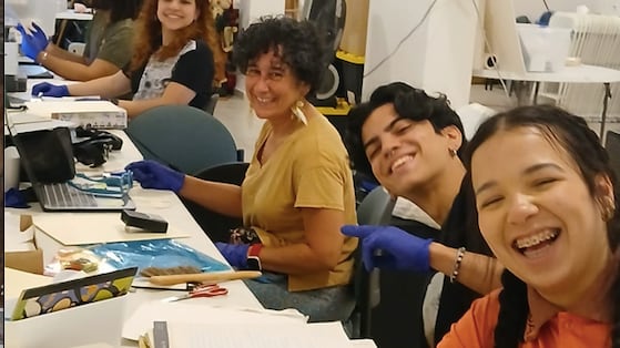 Las personas podrán acceder a las colecciones de forma gratuita