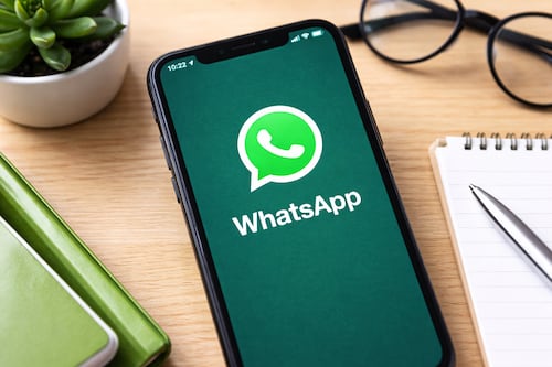 ¿Dónde está la papelera de WhatsApp y cómo recuperar archivos y chats?