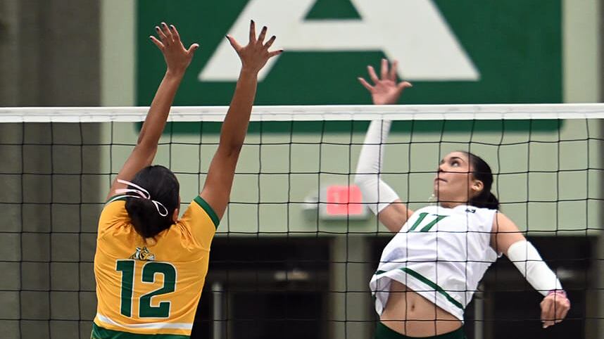 En dos semanas las universidades confirmarán si continúan o se despiden de la postemporada