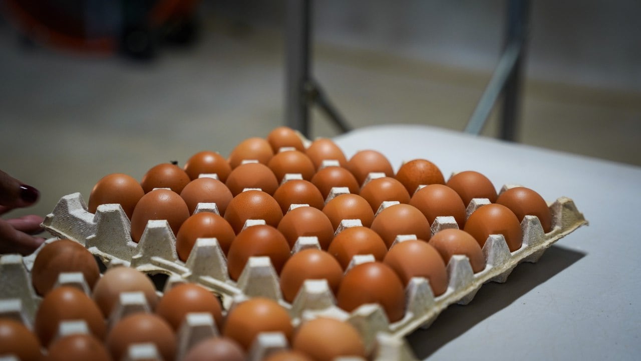 Gobernador y secretario de Agricultura inauguran granja de huevos a gran escala en Salinas