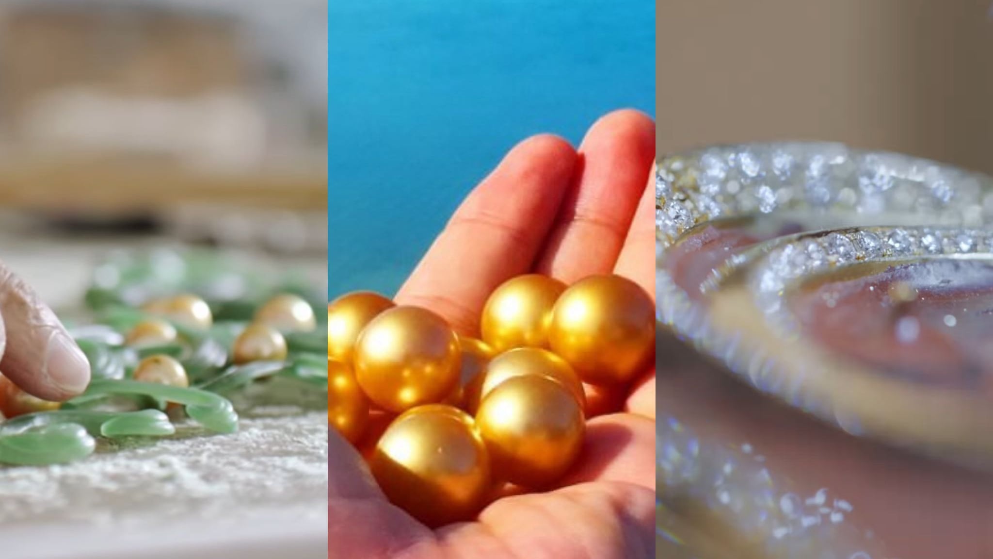 Detalles de la nueva corona de Miss Universo.