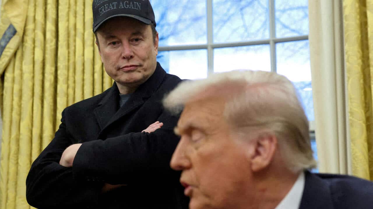 Donald Trump afirma que no necesita a Elon Musk “simplemente me gusta”