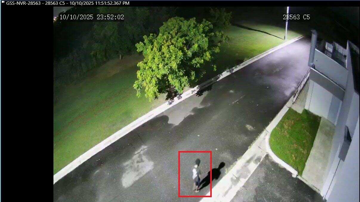 Cámaras de Genesis Security