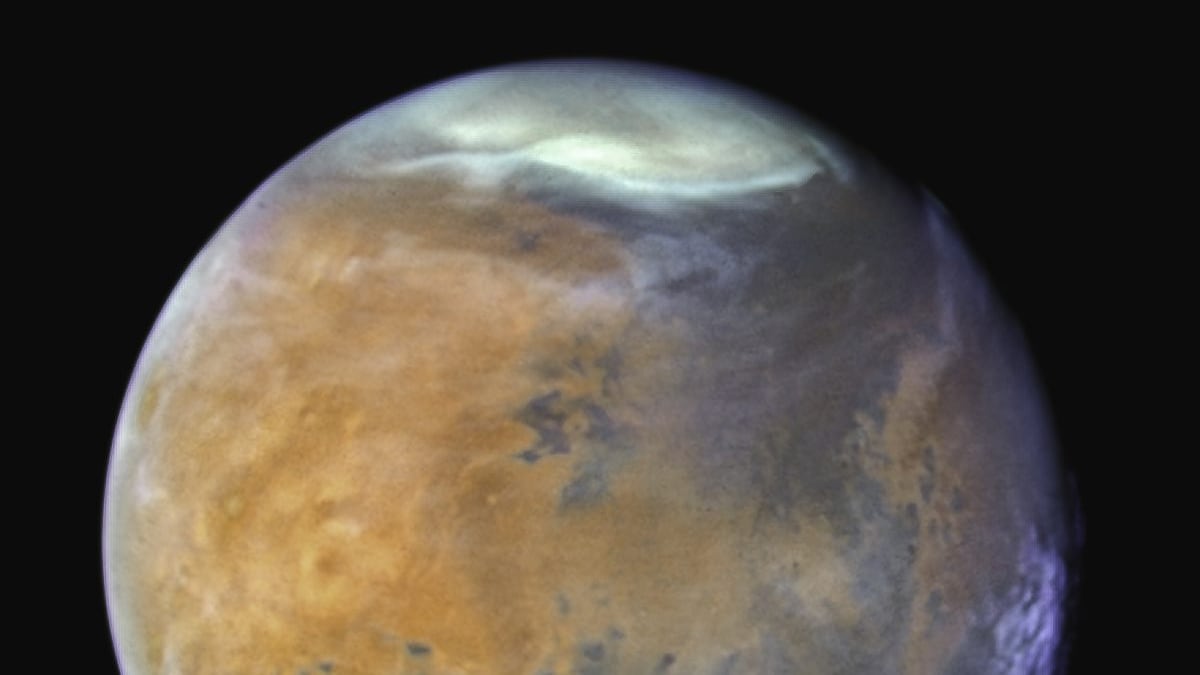 Combinación de imágenes de Marte tomadas por el telescopio espacial Hubble en 2024. Las finas nubes de hielo de agua, visibles en luz ultravioleta, dan al Planeta Rojo un aspecto helado. El gélido casquete polar norte estaba experimentando el comienzo de la primavera marciana. Fotografía facilitada por el Instituto de Astrofísica de Andalucía/ NASA, ESA, STScI