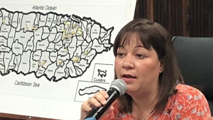 Reunión COE Morovis