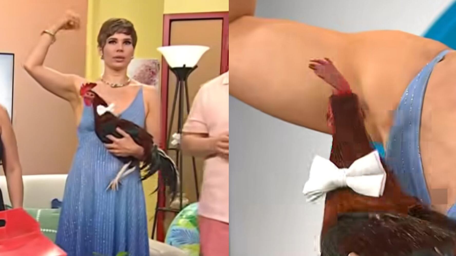 (captura de pantalla)