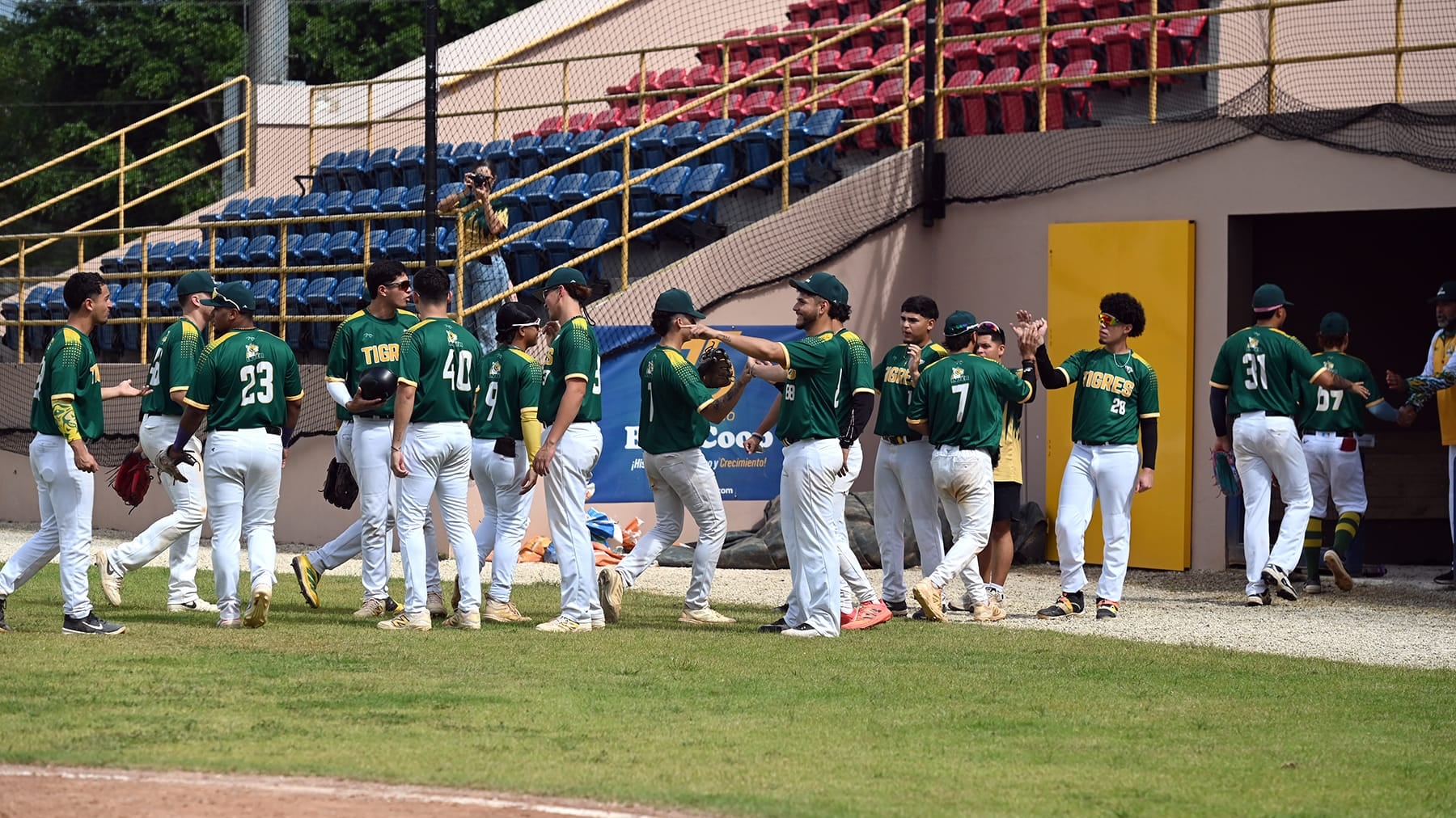 Tigres de la UIPR regresan a la final del béisbol eliminando a los campeones