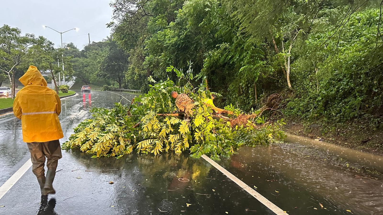 Carretera en Guaynabo tras paso de Ernesto