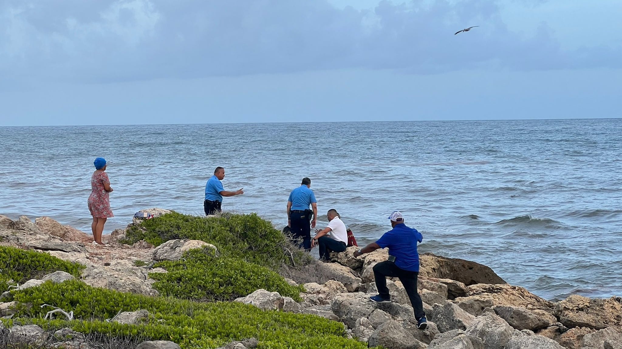 Fue localizado por las autoridades