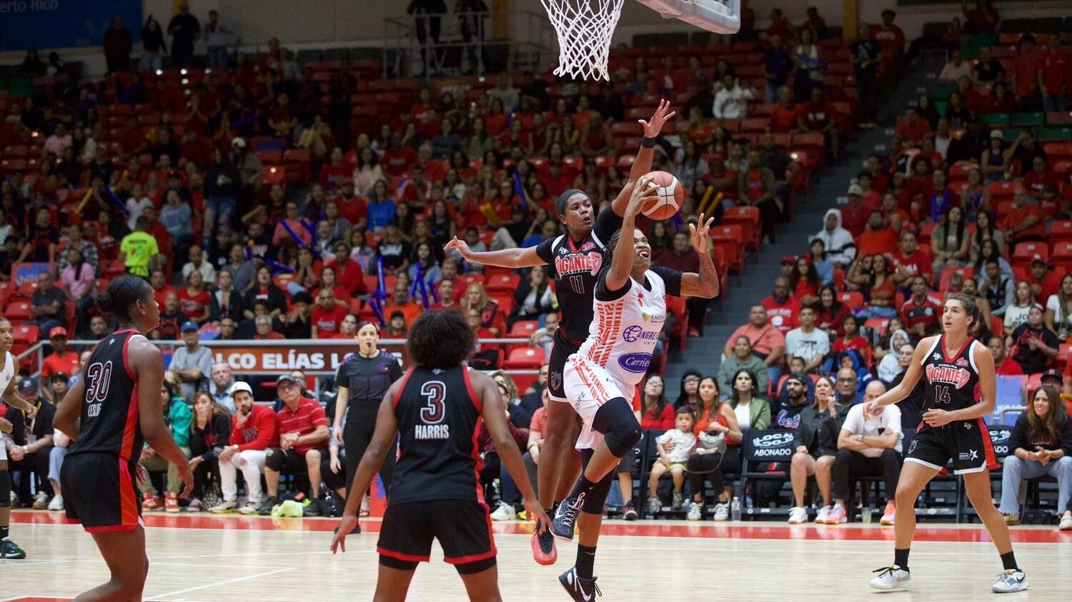 Foto tomada del BSNF