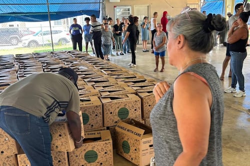Distribuyen cientos de cajas de alimentos en comunidades del Distrito de Carolina