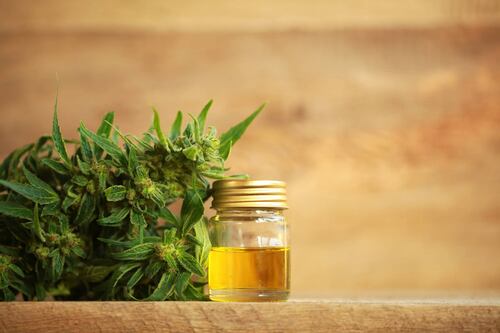 Junta Reglamentadora propone fijar precios por libra de cannabis medicinal