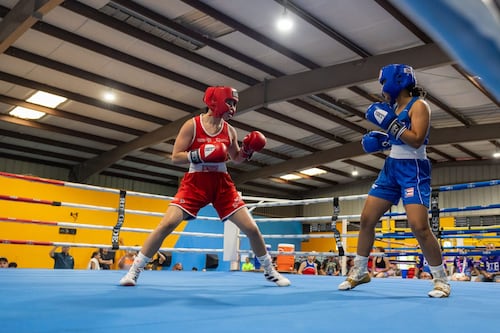 World Boxing acepta a la Federación Puertorriqueña de Boxeo como miembro