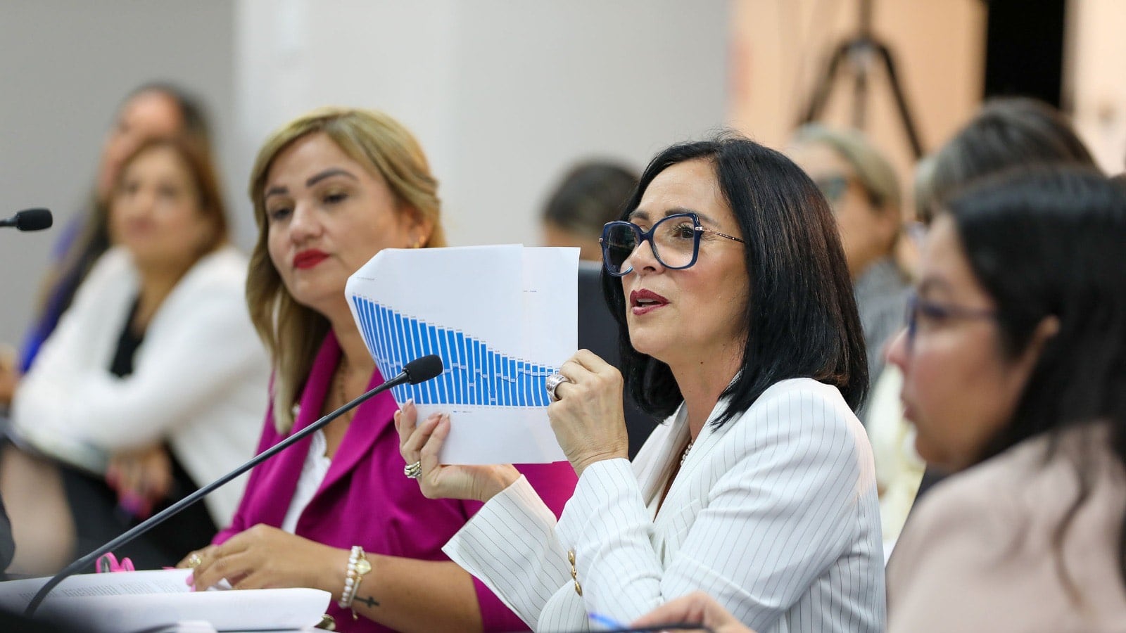 Cámara y Senado unieron sus trabajos para evaluar las solicitudes de la agencia