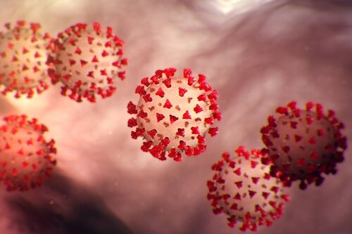 Coronavirus: ¿puedes volver a contagiarte después de enfermarte?