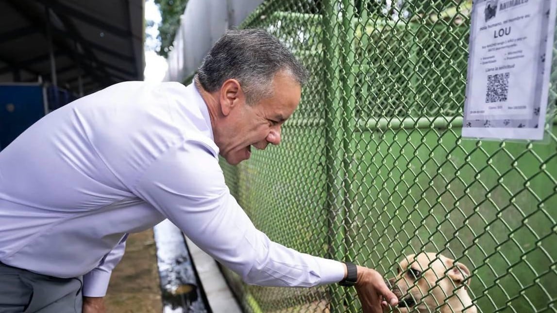 El alcalde de la ciudad capital, Miguel A. Romero Lugo, anunció que el Centro de Protección y Adopción de Animales de San Juan recibió una subvención de $20,000 de PetSmart Charities para fortalecer los esfuerzos dirigidos a preparar más mascotas para adopción y ampliar sus oportunidades de ser ubicadas en un hogar responsable. La ayuda económica respaldará la participación de San Juan en el National Adoption Week, iniciativa que continúa celebrándose hasta el 29 de marzo de 2026 en tiendas PetSmart participantes, como parte de una estrategia para continuar promoviendo el bienestar animal y fomentar la adopción responsable en la ciudad.