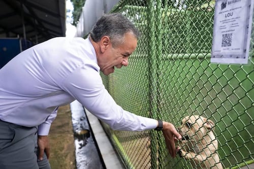 Municipio de San Juan recibe subvención de PetSmart Charities para preparar más mascotas para adopción