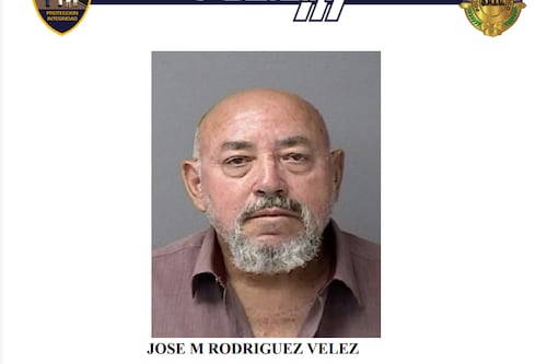 Acusan a sexagenario por ahogar a un gato en una piscina en Arecibo