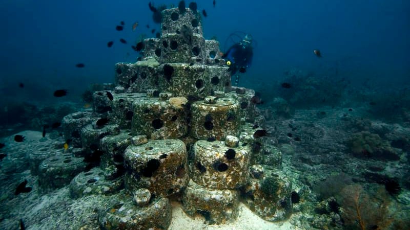 Entra en vigor el Tratado Global sobre los Océanos