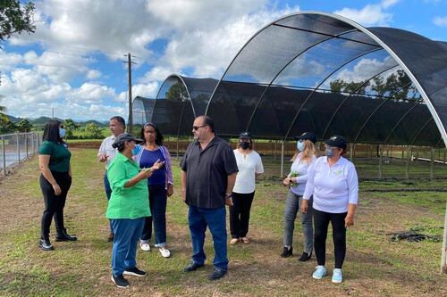 Departamento de Agricultura facilita terreno a mujeres agroempresarias