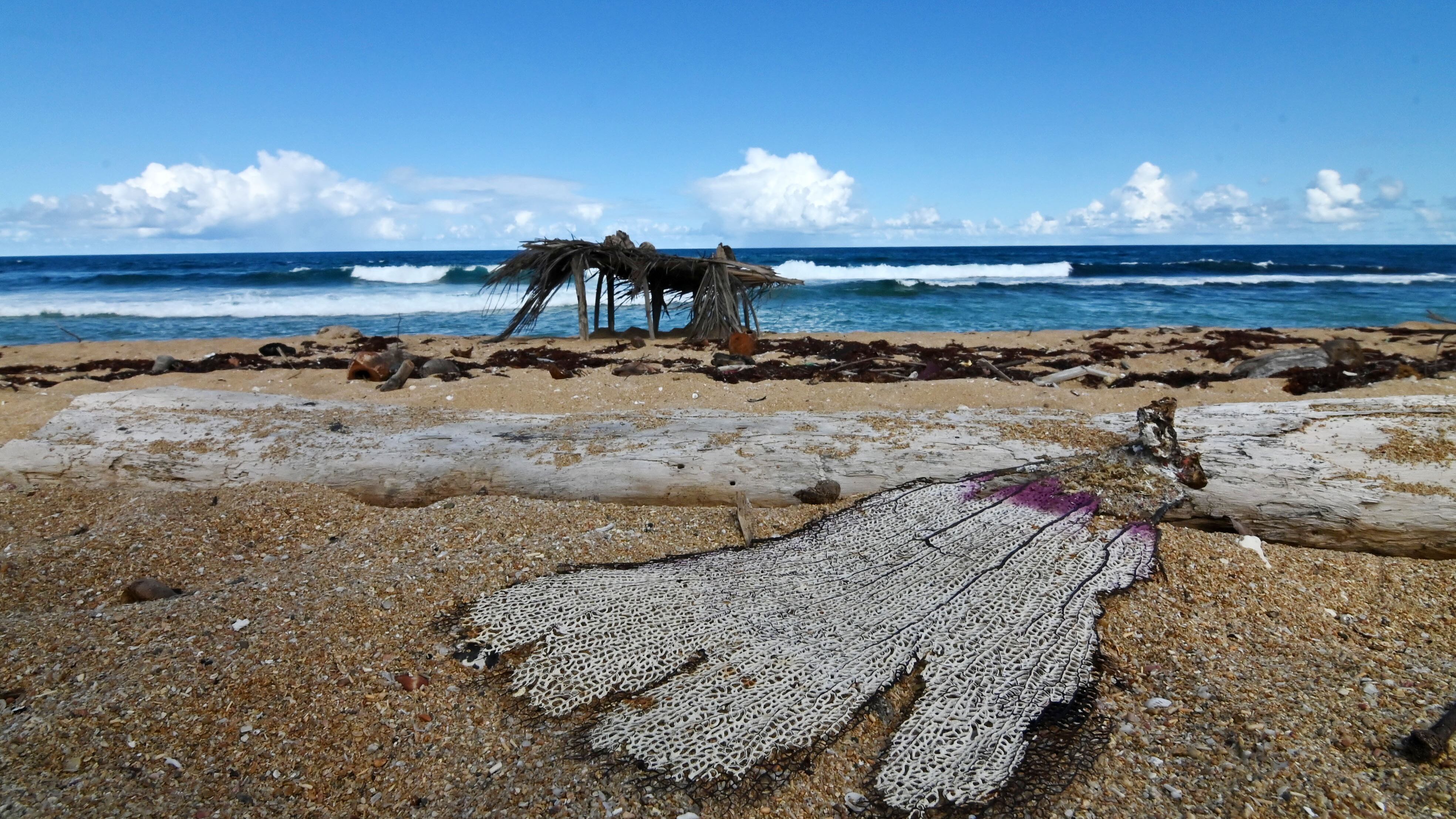 Terraplén de la Posita de Piñones