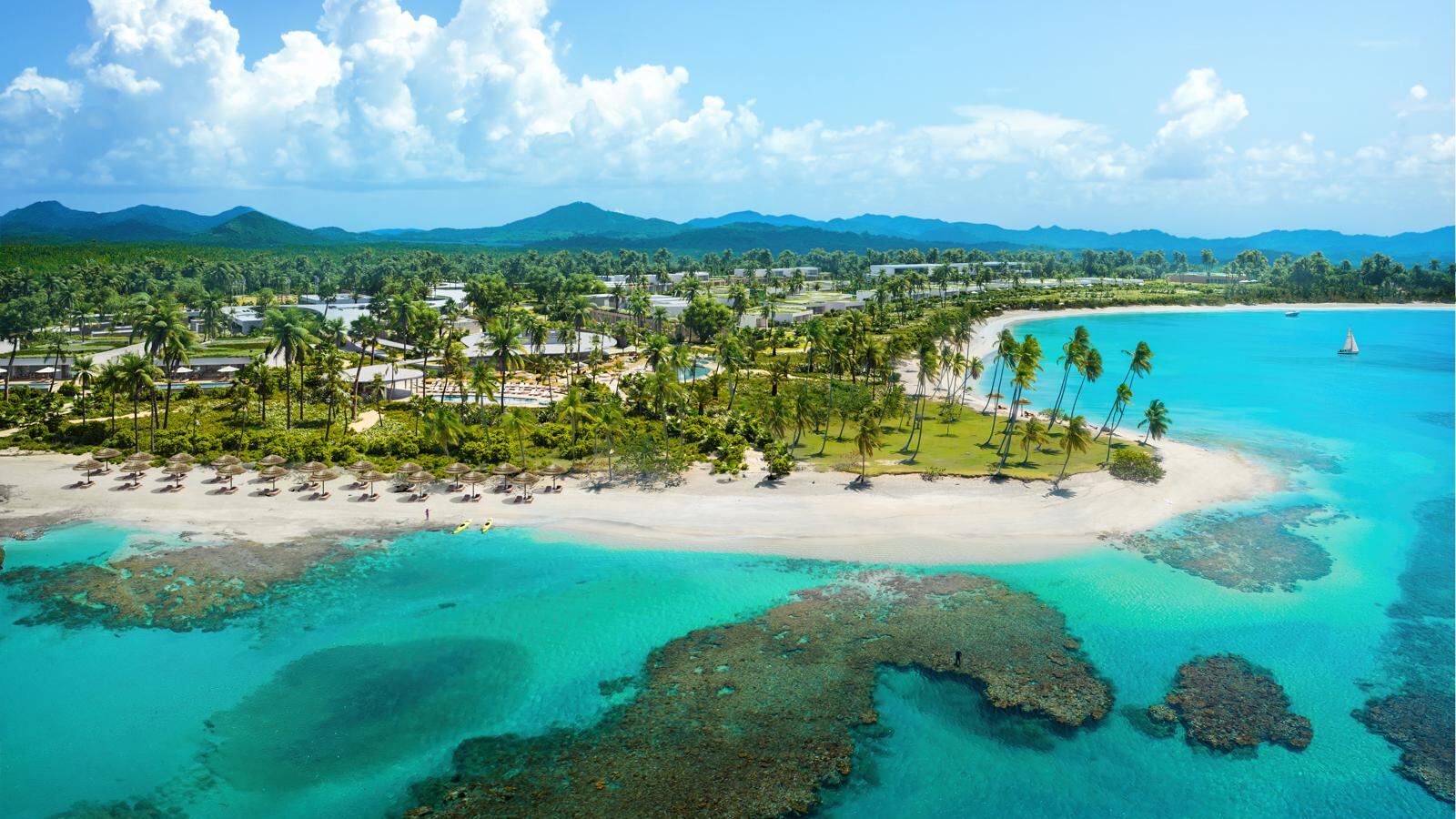 Colección Tropicalia