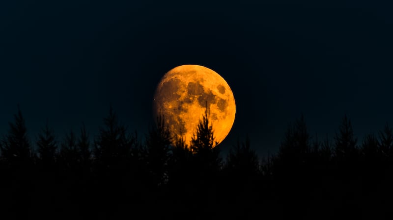 Luna de maíz