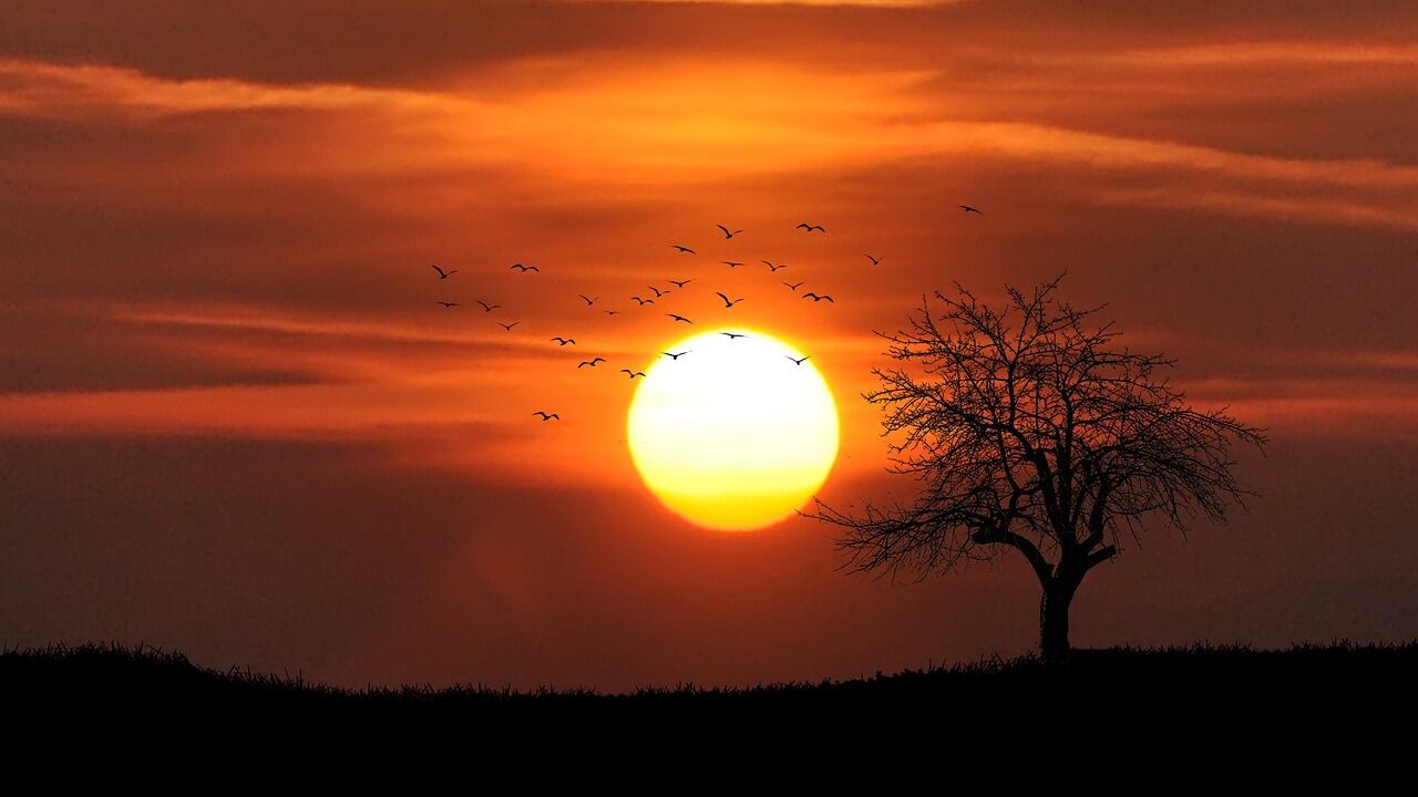 Sol arriba, conciencia abierta