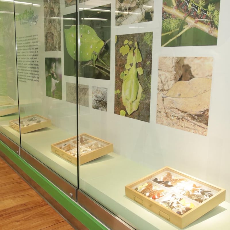 Museo de Entomología y Biodiversidad Tropical.