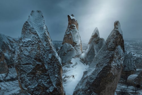 Las imágenes más bellas e impactantes del año