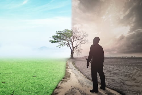 COP30: nuevas ideas con antiguas visiones del financiamiento climático