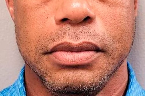 Tiger Woods puesto en libertad tras varias horas de arresto