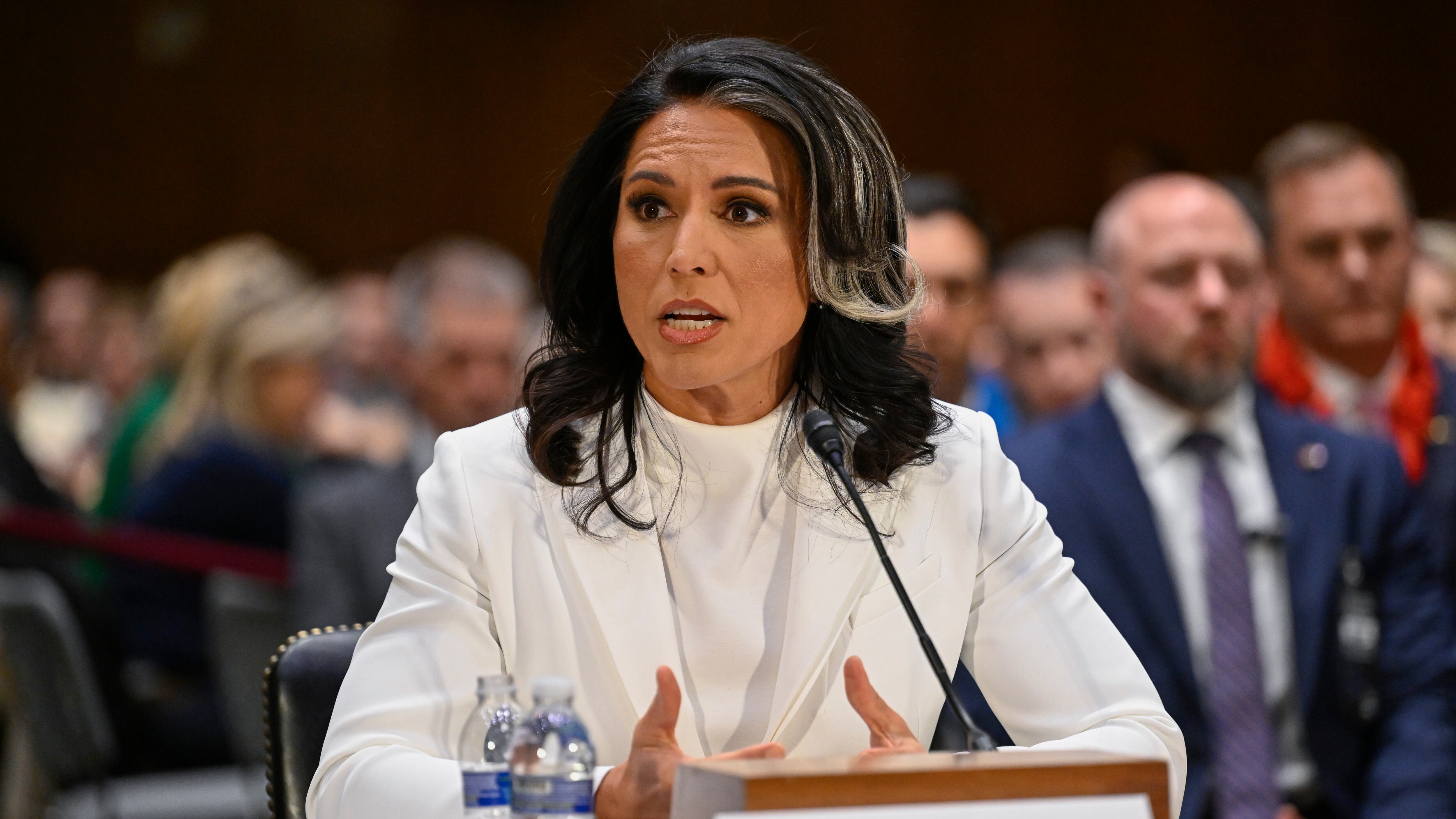 Tulsi Gabbard