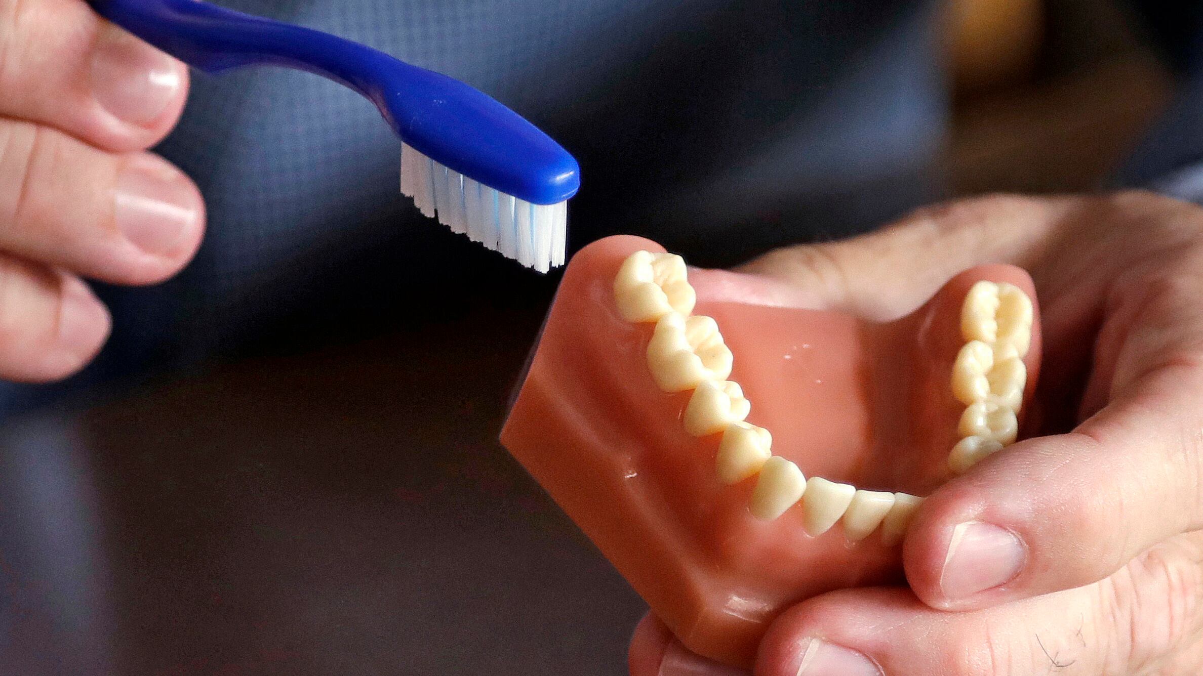 dentista
