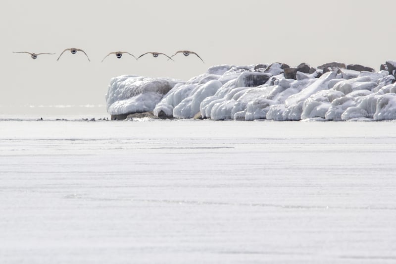 Fotografía que muestra el congelado lago Ontario este lunes, en Toronto (Canadá). EFE/ Julio César Rivas