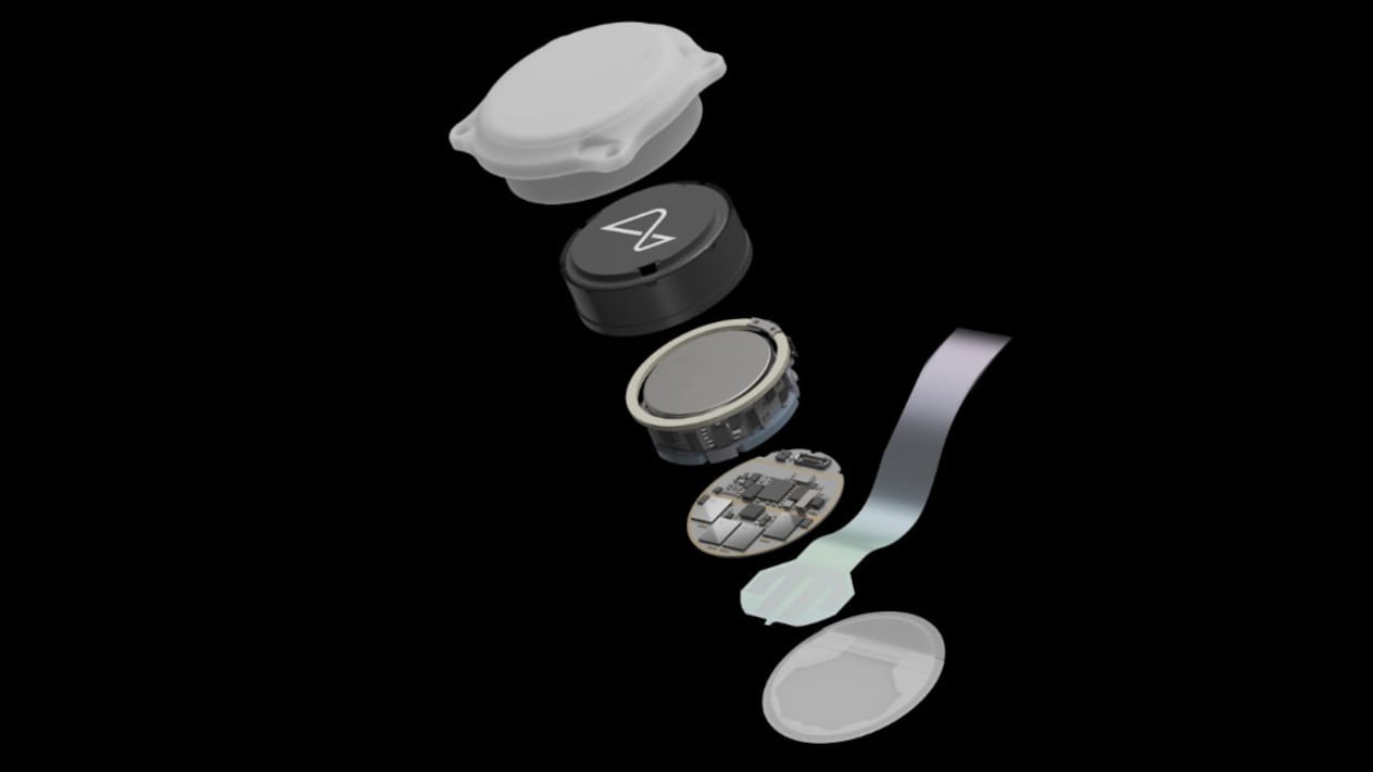 La fecha en la Neuralink promete curar la ceguera