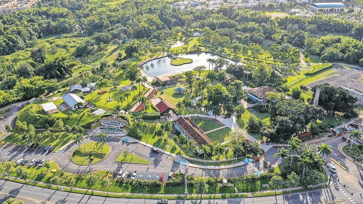 Dream Forest en el Jardín Botánico de Caguas.