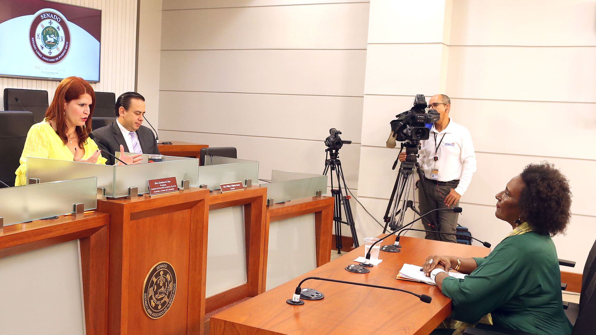 Mayra Santos Febres deponte ante comisión senatorial.