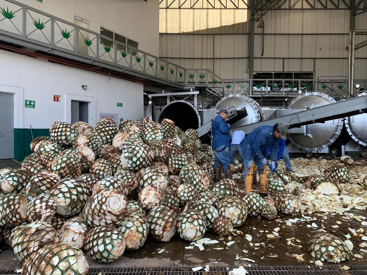 Existe una ciudad en México que es conocida por darle su nombre al tequila. Foto: Said Pulido.