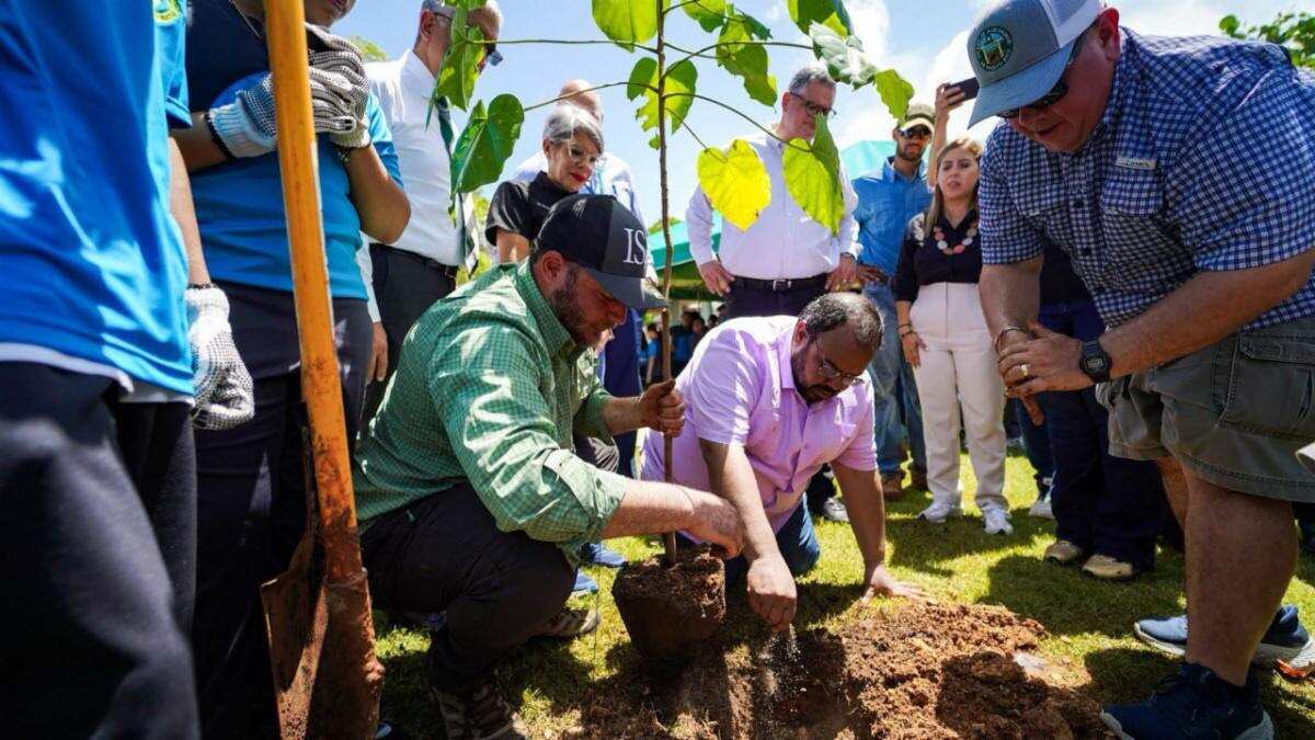 La Escuela Ecológica José De Diego en Dorado será el primer plantel en implementar el proyecto de reforestación escolar del Departamento de Educación, que busca mitigar el calor extremo y fomentar la conciencia ambiental.