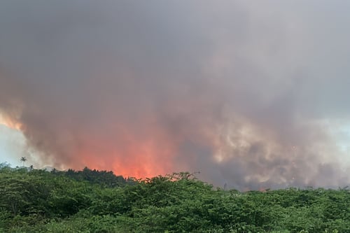 Más de 70 cuerdas afectadas por incendio forestal en Vega Baja